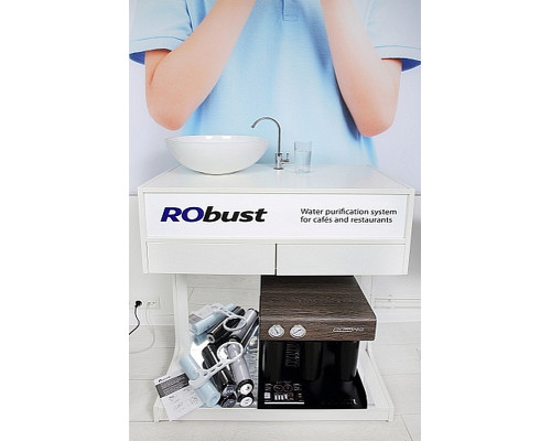 Обратный осмос Ecosoft RObust PRO ECONNECT (ROBUSTPROBEC)