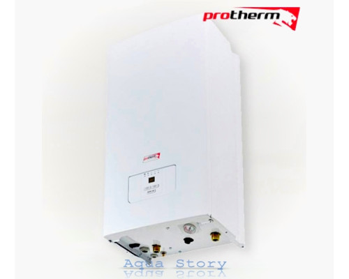 Електричний котел Protherm Ray (Скат) 12 кВт