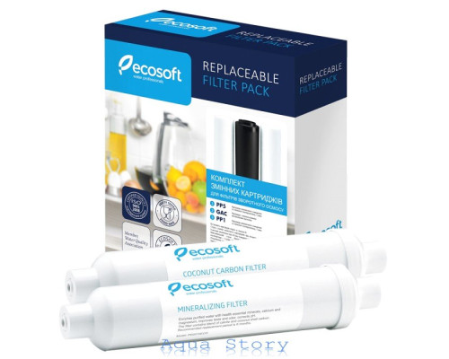 Комплект Ecosoft 1-2-3 + Постфільтр + Мінералізатор