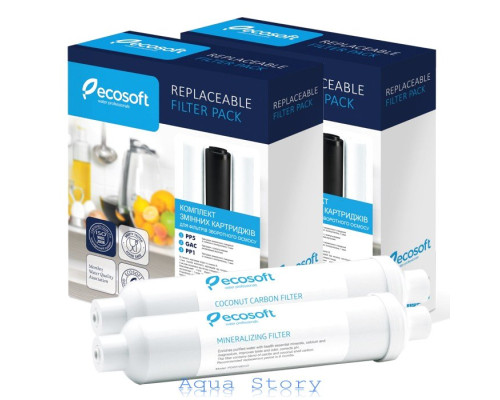 Річний комплект Ecosoft + Постфільтр + Мінералізатор