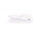 Картридж угольный Aqualine In-line GAC-10L-QC(NPT)
