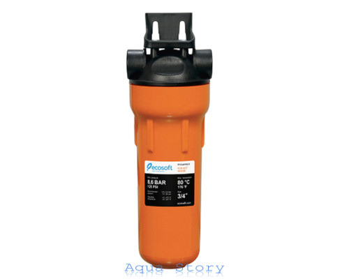 Фільтр для гарячої води Ecosoft 3/4 "