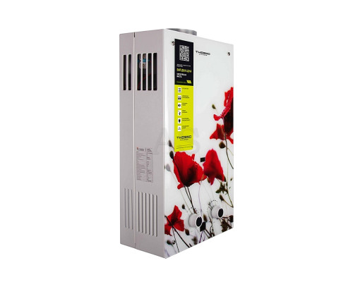 Газовая колонка Thermo Alliance дымоходная JSD20-10GB 10 л стекло (цветок)
