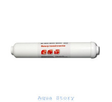 Постфільтр Raifil IL-11W-C-EZ