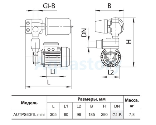 Насосна станція AUTPS60/1L mini Насоси+